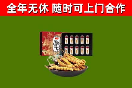 滕州回收冬虫夏草价格